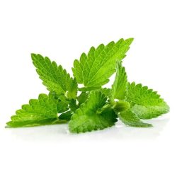 Friss Menta 60g