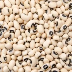 Black eye beans – Fekete szemű bab