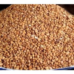 African Sweet Beans – Afrikai édes bab