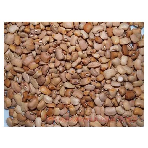 African Brown Beans – Afrikai barna bab