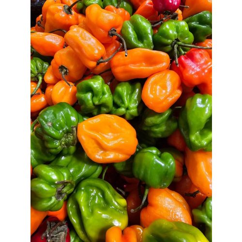 Habanero Chili – Rendkívül csípős paprika 90+g