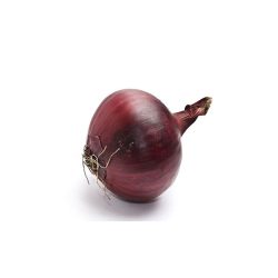 Friss lilahagyma – Fresh Red Onion