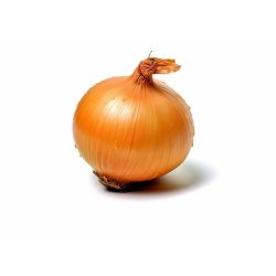 Friss vöröshagyma – Fresh Yellow Onion