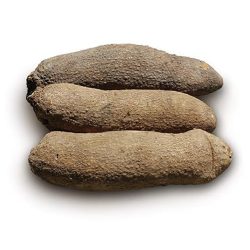 Ghánai fehér yam – Friss jamszgyökér