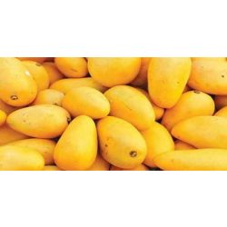 Pakisztáni Honey Mangó – Friss mézédes mangó 4kg+