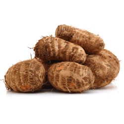 Cocoyam – Tárógyökér
