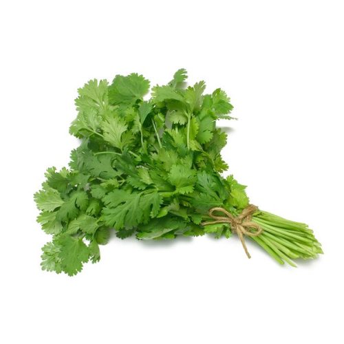 Friss Koriander 60g