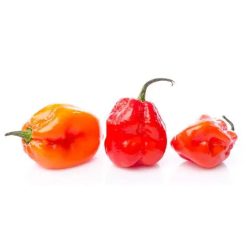 Fresh Red Pepper 100g Habanero paprika