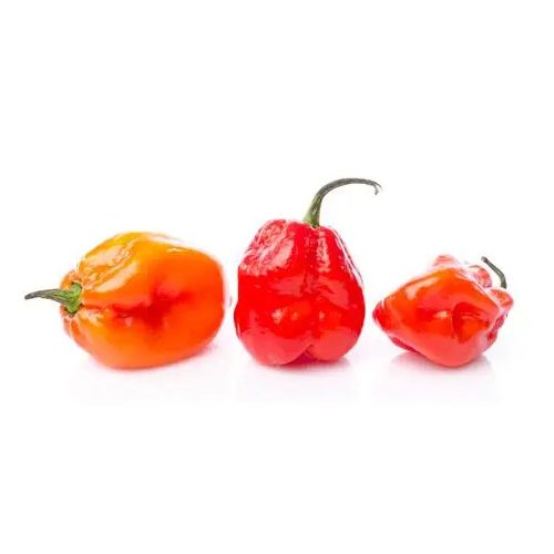 Fresh Red Pepper 100g Habanero paprika